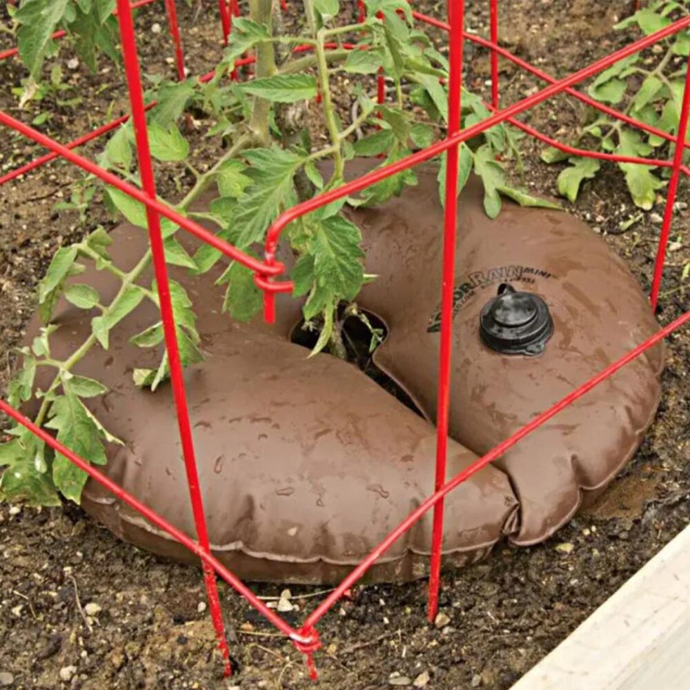 ArborRain™ Slow Release Watering Ring - Image 2